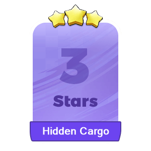 Hidden Cargo