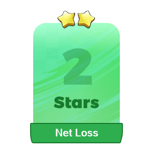 Net Loss