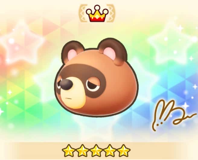 Raccoon Head