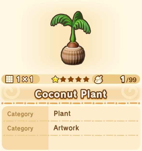 Coconut Plant