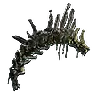 Preserved Vertebrae