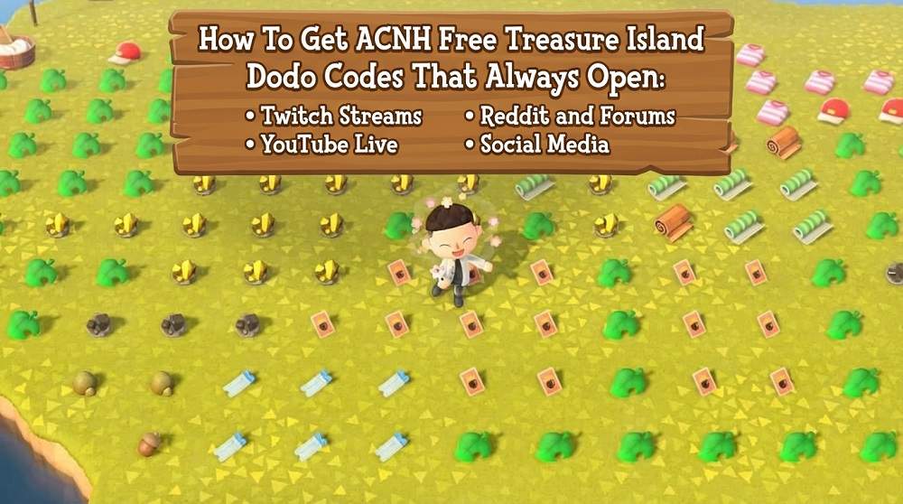 ACNH 3.0 Treausre Island DoDo Codes - How To Get
