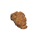 Coprolite