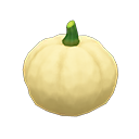 white pumpkin