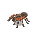 Tarantula Model