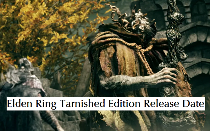 Elden Ring Tarnished Edition MTMMO